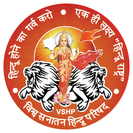 VHSP Logo